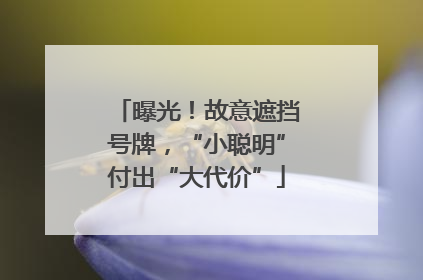 曝光！故意遮挡号牌，“小聪明”付出“大代价”