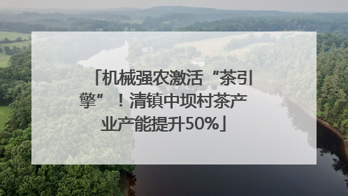 机械强农激活“茶引擎”！清镇中坝村茶产业产能提升50%