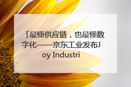 最懂供应链，也最懂数字化——京东工业发布Joy Industrial 重塑工业未来
