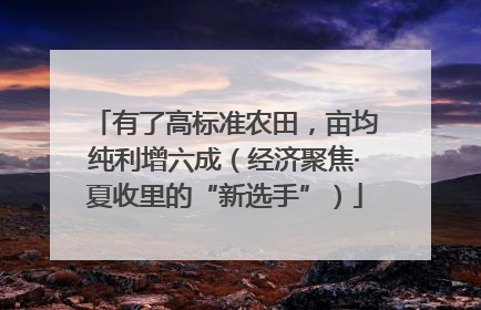 有了高标准农田，亩均纯利增六成（经济聚焦·夏收里的“新选手”）