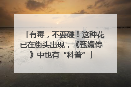 有毒，不要碰！这种花已在街头出现，《甄嬛传》中也有“科普”