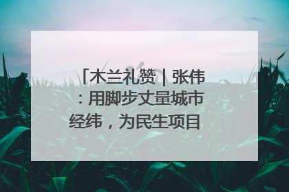 木兰礼赞｜张伟：用脚步丈量城市经纬，为民生项目按下“加速键”