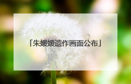 朱媛媛遗作画面公布