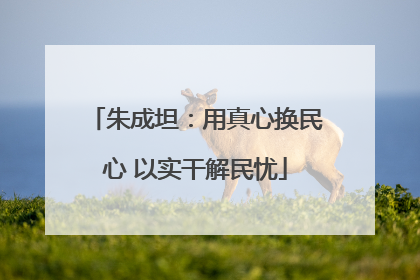 朱成坦：用真心换民心 以实干解民忧