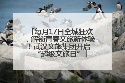 每月17日全城狂欢，解锁青春文旅新体验！武汉文旅集团开启 “超级文旅日”