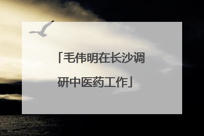 毛伟明在长沙调研中医药工作