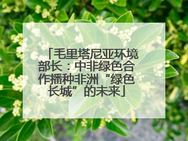 毛里塔尼亚环境部长：中非绿色合作播种非洲“绿色长城”的未来