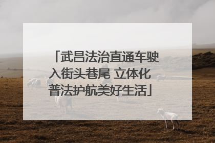 武昌法治直通车驶入街头巷尾 立体化普法护航美好生活
