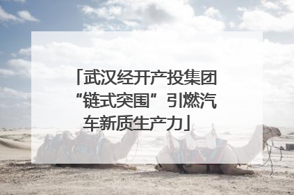 武汉经开产投集团“链式突围”引燃汽车新质生产力
