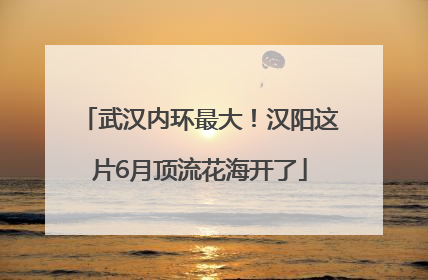 武汉内环最大！汉阳这片6月顶流花海开了