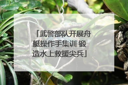 武警部队开展舟艇操作手集训 锻造水上救援尖兵