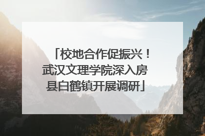 校地合作促振兴！武汉文理学院深入房县白鹤镇开展调研
