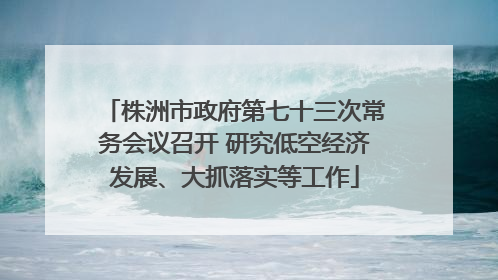 株洲市政府第七十三次常务会议召开 研究低空经济发展、大抓落实等工作
