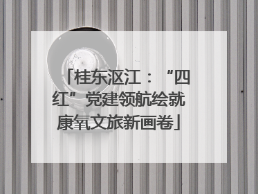 桂东沤江：“四红”党建领航绘就康氧文旅新画卷