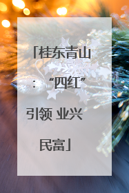 桂东青山：“四红”引领 业兴民富