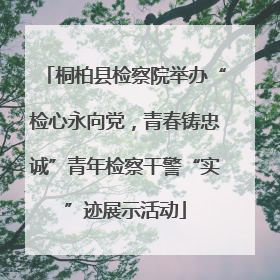 桐柏县检察院举办“检心永向党，青春铸忠诚”青年检察干警“实”迹展示活动