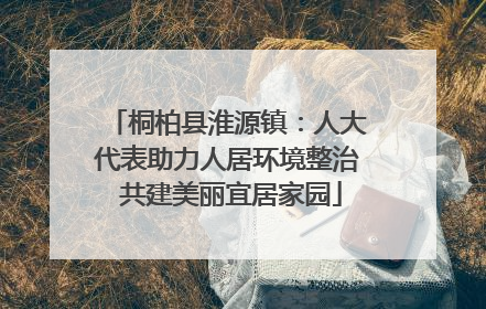 桐柏县淮源镇：人大代表助力人居环境整治 共建美丽宜居家园