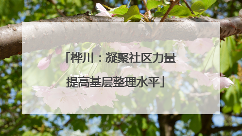 桦川：凝聚社区力量 提高基层整理水平
