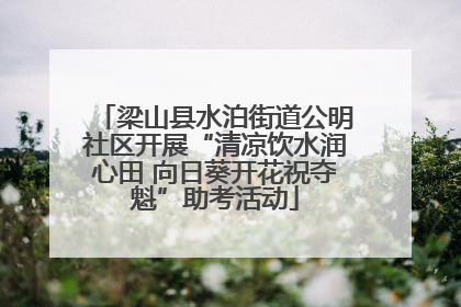 梁山县水泊街道公明社区开展“清凉饮水润心田 向日葵开花祝夺魁”助考活动