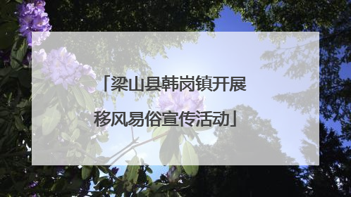 梁山县韩岗镇开展移风易俗宣传活动