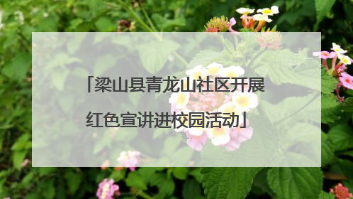 梁山县青龙山社区开展红色宣讲进校园活动