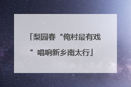 梨园春“俺村最有戏”唱响新乡南太行