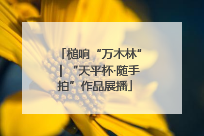 槌响“万木林”｜“天平杯·随手拍”作品展播