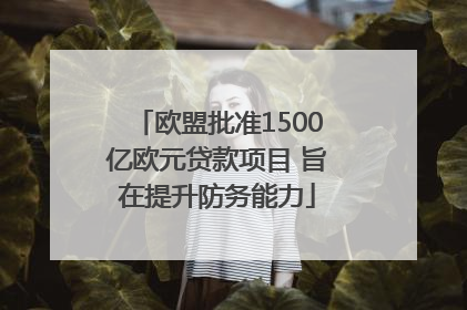 欧盟批准1500亿欧元贷款项目 旨在提升防务能力