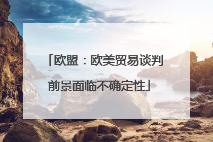 欧盟：欧美贸易谈判前景面临不确定性