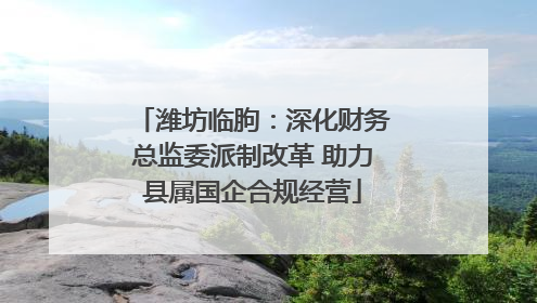 潍坊临朐：深化财务总监委派制改革 助力县属国企合规经营
