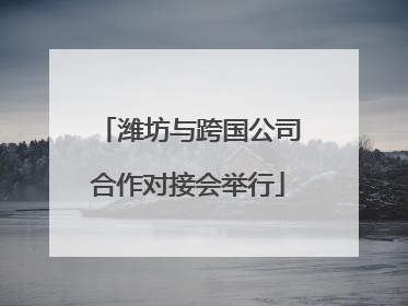潍坊与跨国公司合作对接会举行