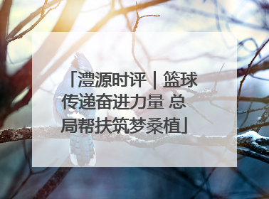 澧源时评｜篮球传递奋进力量 总局帮扶筑梦桑植