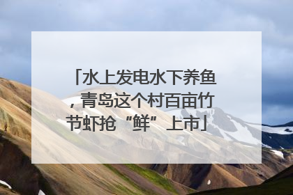水上发电水下养鱼，青岛这个村百亩竹节虾抢“鲜”上市