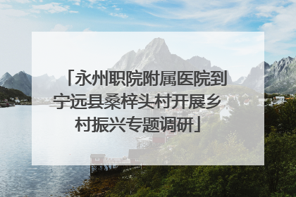 永州职院附属医院到宁远县桑梓头村开展乡村振兴专题调研
