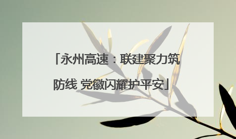 永州高速：联建聚力筑防线 党徽闪耀护平安