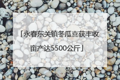 永春东关镇冬瓜喜获丰收 亩产达5500公斤