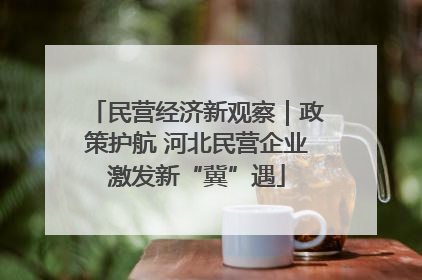 民营经济新观察｜政策护航 河北民营企业激发新“冀”遇