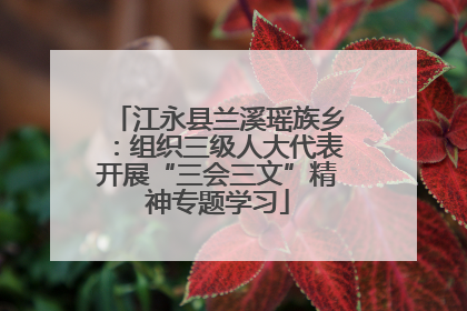 江永县兰溪瑶族乡：组织三级人大代表开展“三会三文”精神专题学习