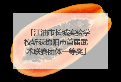 江油市长城实验学校斩获绵阳市首届武术联赛团体一等奖
