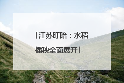 江苏盱眙：水稻插秧全面展开