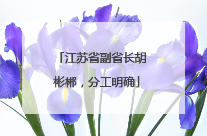 江苏省副省长胡彬郴，分工明确