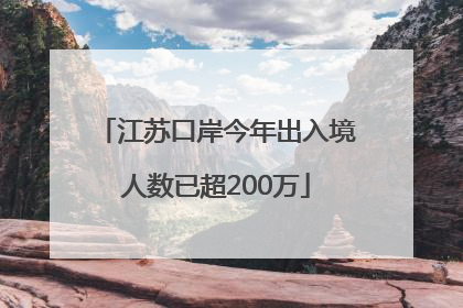 江苏口岸今年出入境人数已超200万