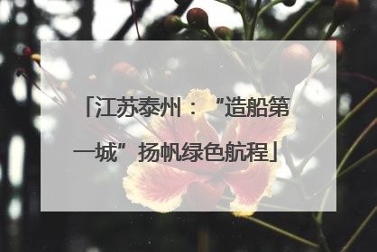 江苏泰州：“造船第一城”扬帆绿色航程