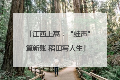 江西上高：“蛙声”算新账 稻田写人生