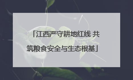 江西严守耕地红线 共筑粮食安全与生态根基