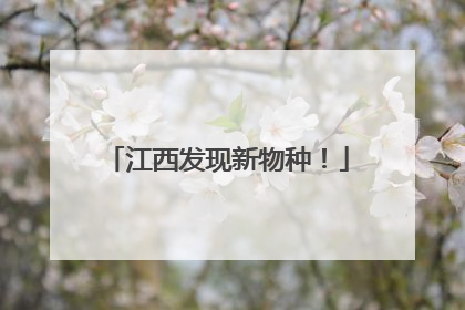 江西发现新物种！