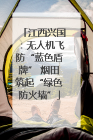 江西兴国：无人机飞防“蓝色盾牌” 烟田筑起“绿色防火墙”