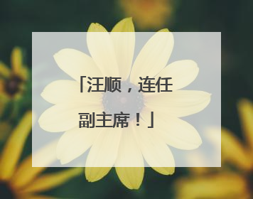 汪顺，连任副主席！
