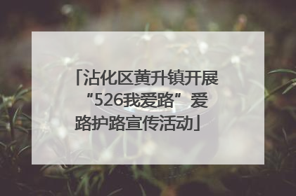 沾化区黄升镇开展“526我爱路”爱路护路宣传活动
