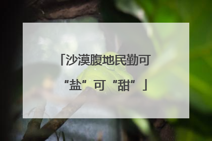沙漠腹地民勤可“盐”可“甜”